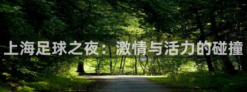上海足球之夜：激情与活力的碰撞