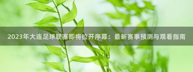  2023年大连足球联赛即将拉开序幕：最新赛事预测与观看指南