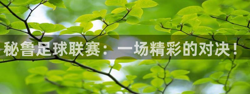 秘鲁足球联赛：一场精彩的对决！