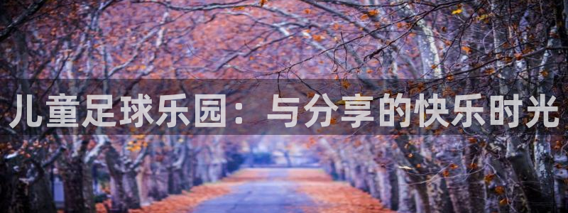  儿童足球乐园：与分享的快乐时光