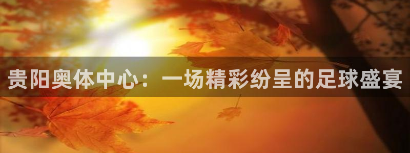 贵阳奥体中心：一场精彩纷呈的足球盛宴