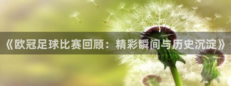  《欧冠足球比赛回顾：精彩瞬间与历史沉淀》