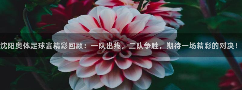 沈阳奥体足球赛精彩回顾：一队出线，二队争胜，期待一场精彩的对
