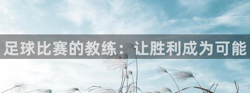 足球比赛的教练：让胜利成为可能