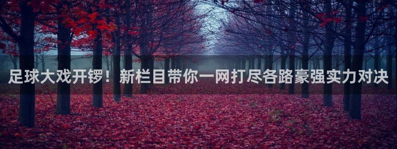  足球大戏开锣！新栏目带你一网打尽各路豪强实力对决