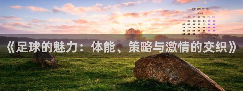 《足球的魅力：体能、策略与激情的交织》