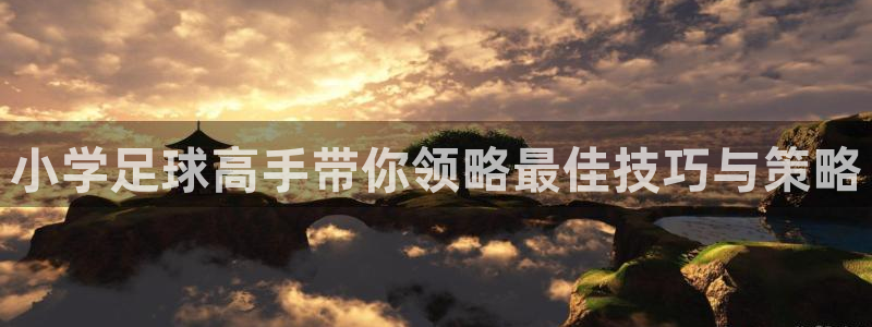  小学足球高手带你领略最佳技巧与策略
