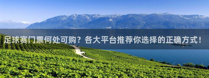  足球赛门票何处可购？各大平台推荐你选择的正确方式！