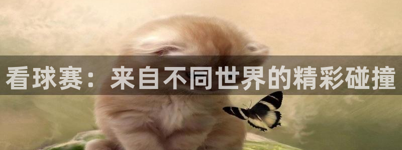  看球赛：来自不同世界的精彩碰撞