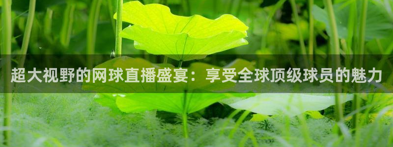 球神直播网：超大视野的网球直播盛宴：享受全球顶级球员的魅力