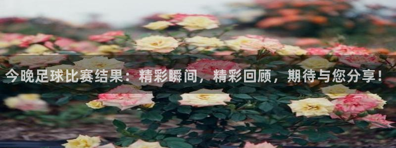 今晚足球比赛结果：精彩瞬间，精彩回顾