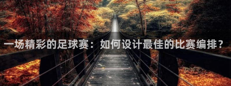 一场精彩的足球赛：如何设计最佳的比赛
