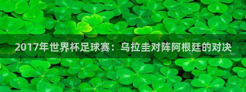 2017年世界杯足球赛：乌拉圭对阵阿