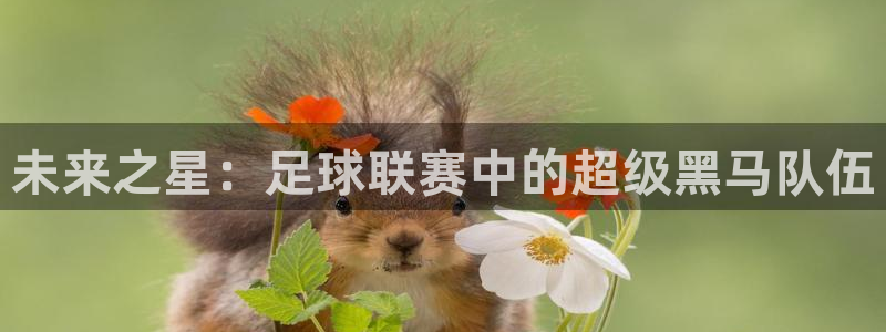未来之星：足球联赛中的超级黑马队伍