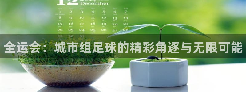 全运会：城市组足球的精彩角逐与无限可