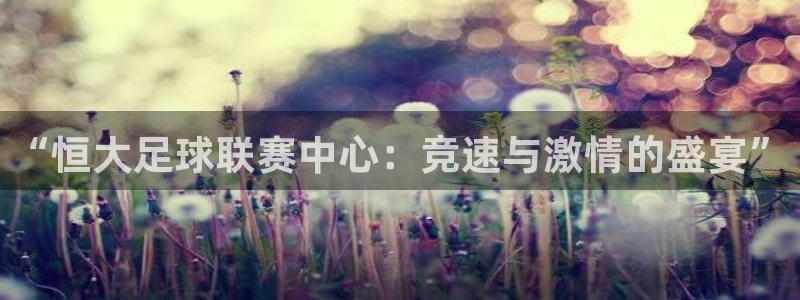“恒大足球联赛中心：竞速与激情的盛宴