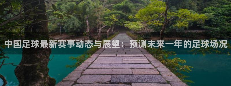 中国足球最新赛事动态与展望：预测未来
