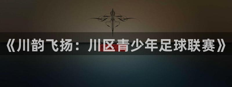 《川韵飞扬：川区青少年足球联赛》