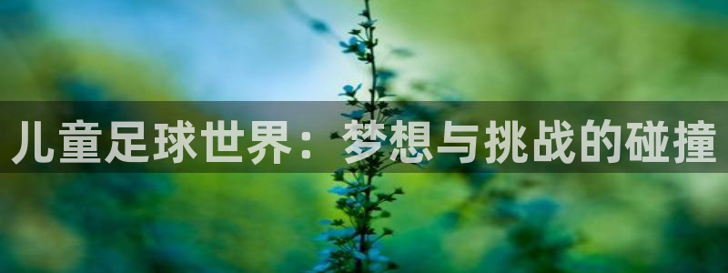  儿童足球世界：梦想与挑战的碰撞