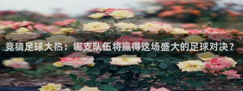 竞猜足球大热：哪支队伍将赢得这场盛大