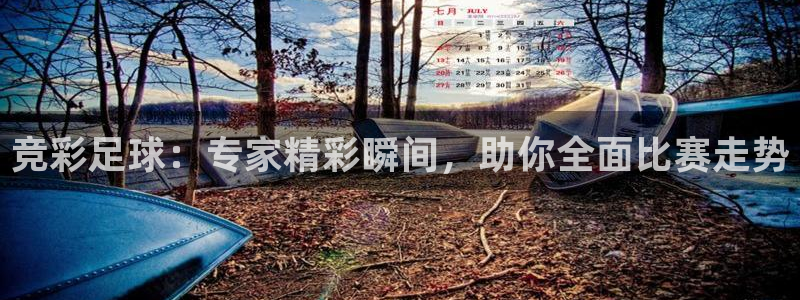 球神体育：竞彩足球：专家精彩瞬间，助你全面比赛走势