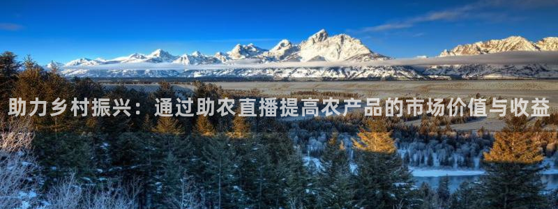 nba球神直播：助力乡村振兴：通过助农直播提高农产品的市场价值与收益