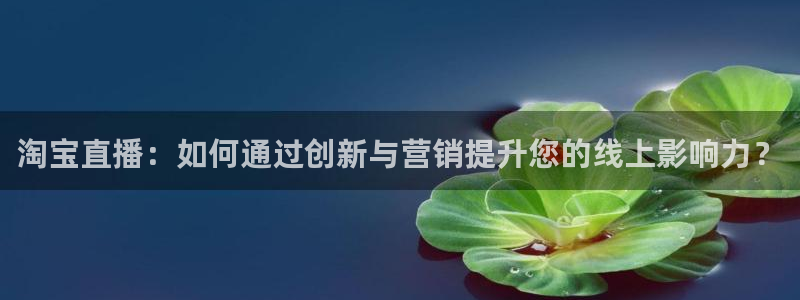 nba直播球神：淘宝直播：如何通过创新与营销提升您的线上影响力？